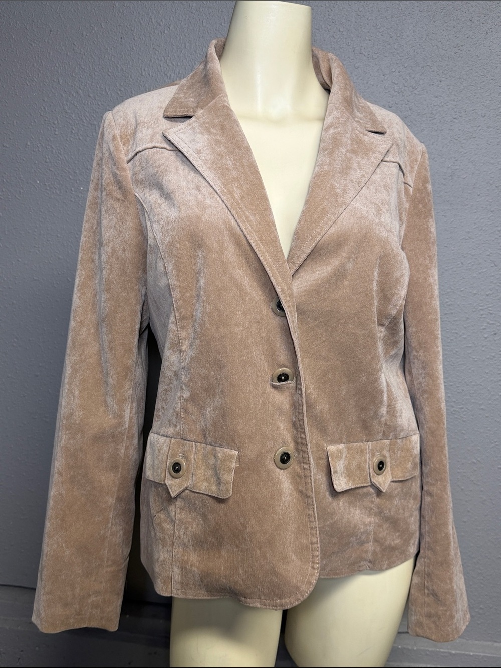 Dress Barn Soft Taupe Suede Blazer Jacket